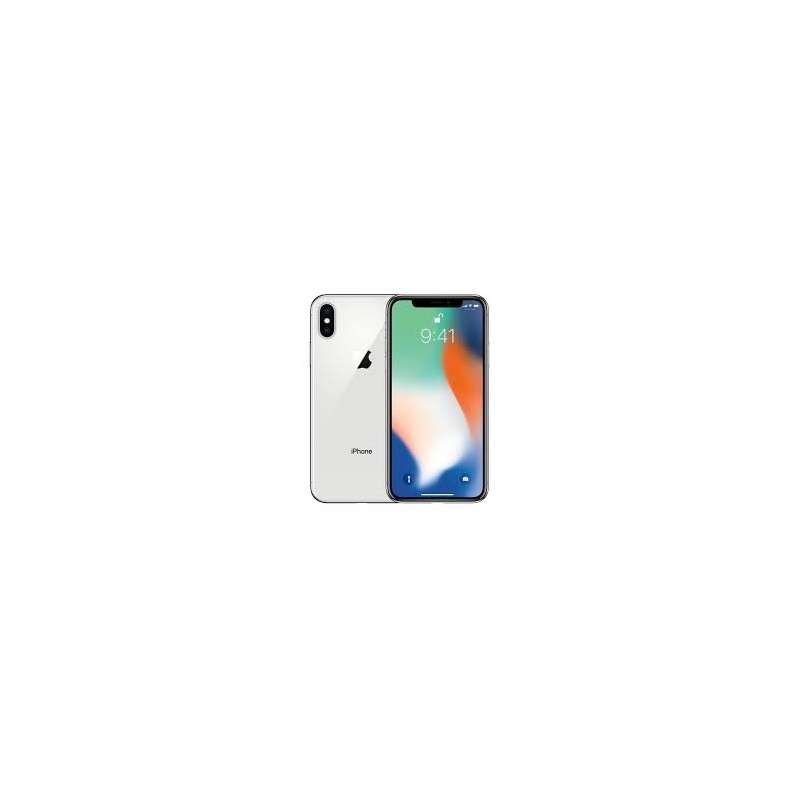 iPhone X 256GB